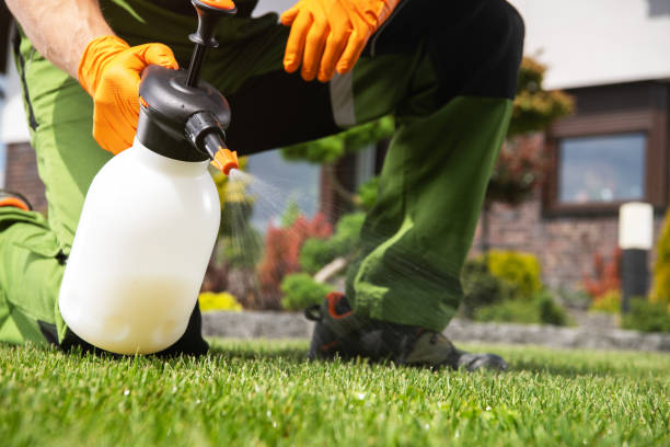 Best Mosquito Control Services  in Lucerne, CA
