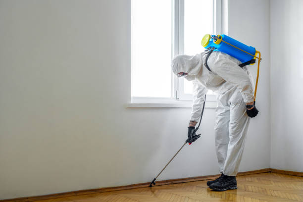 Best Emergency Pest Control  in Lucerne, CA