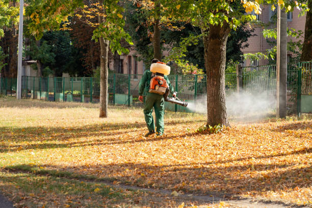 Lucerne, CA Pest Control Company