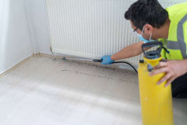 Best Pest Control Near Me in Lucerne, CA